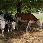 La Normandise * Cormeilles (Eure)