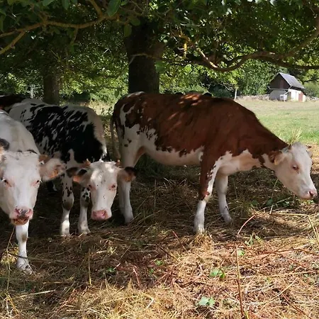 La Normandise * Cormeilles (Eure)