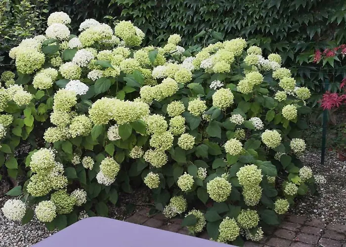 Casa vacanze La Normandise *